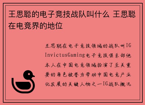 王思聪的电子竞技战队叫什么 王思聪在电竞界的地位